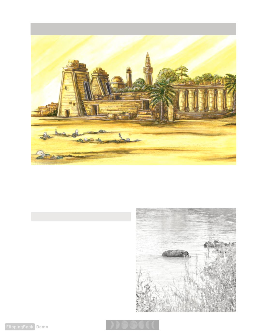 Page Background